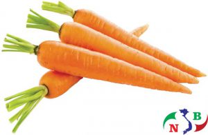 Dùng phương pháp kho lạnh dùng để bảo quản cà rốt