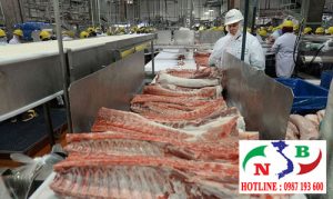 Kho lạnh công nghiệp bảo quản thịt lợn