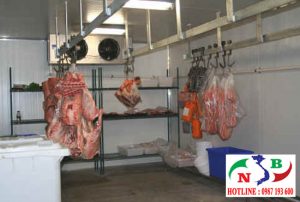 Thi công Kho lạnh bảo quản Thịt Lợn sữa Chất Lượng