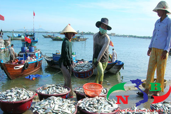 Nghị định của chính phủ về phát hành chính sách phát triển thủy sản