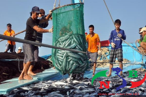 Nghị định của chính phủ về phát hành chính sách phát triển thủy sản 