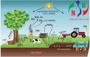 Nông nghiệp tự nhiên và hữu cơ – Mô hình bền vững mới “Permaculture”