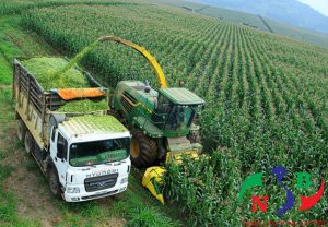 Ứng dụng nông nghiệp công nghệ cao liệu có phải là con đường ngắn nhất?