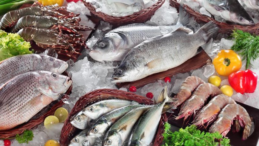 Lắp đặt kho lạnh bảo quản cá chất lượng - Giá rẻ -【Tân Nam Bắc】