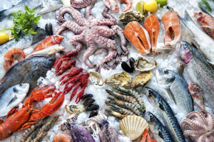 Bảo dưỡng kho lạnh cấp đông lưu trữ hải sản