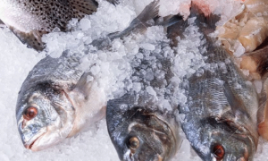 Kho lạnh bảo quản hải sản đạt tiêu chuẩn, dung tích lớn