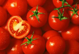 Bảo quản quả cà chua bằng phương pháp kho lạnh