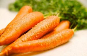 Kho lạnh giúp bảo quản cà rốt một cách đúng nhất