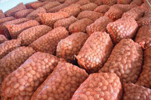 Tìm hiểu về kho lạnh bảo quản khoai tây giống
