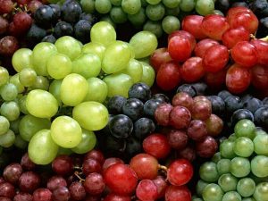 Kho lạnh bảo quản trái cây quan trọng như thế nào?