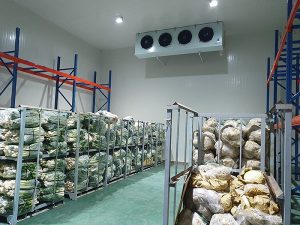 Thi công lắp kho lạnh bảo quản nông sản tại Hưng Yên