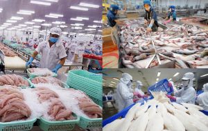 Thi công kho lạnh bảo quản thủy sản xuất khẩu tại Quảng Ninh
