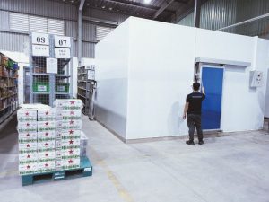 Lắp đặt kho lạnh cho nhà máy tại Hà Nam