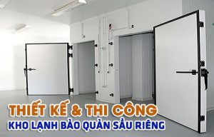 Thi công kho lạnh bảo quản sầu riêng tại Hà Nội